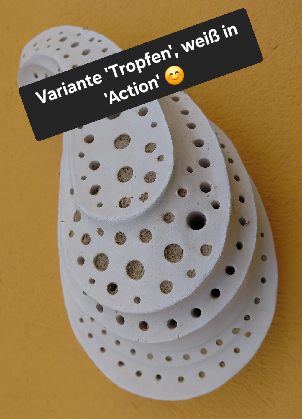 Bienenstein wave